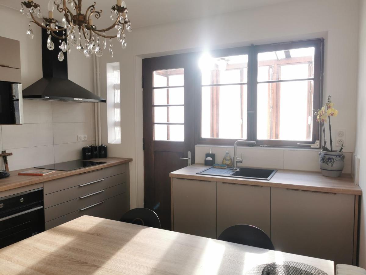 La Maison De Lucie - Grande Maison Ideale En Famille Ou Entre Amis - Jardin - Parking Gratuit Sélestat Zewnętrze zdjęcie