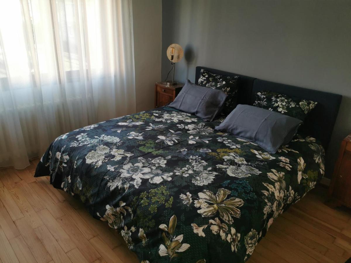 La Maison De Lucie - Grande Maison Ideale En Famille Ou Entre Amis - Jardin - Parking Gratuit Sélestat Zewnętrze zdjęcie