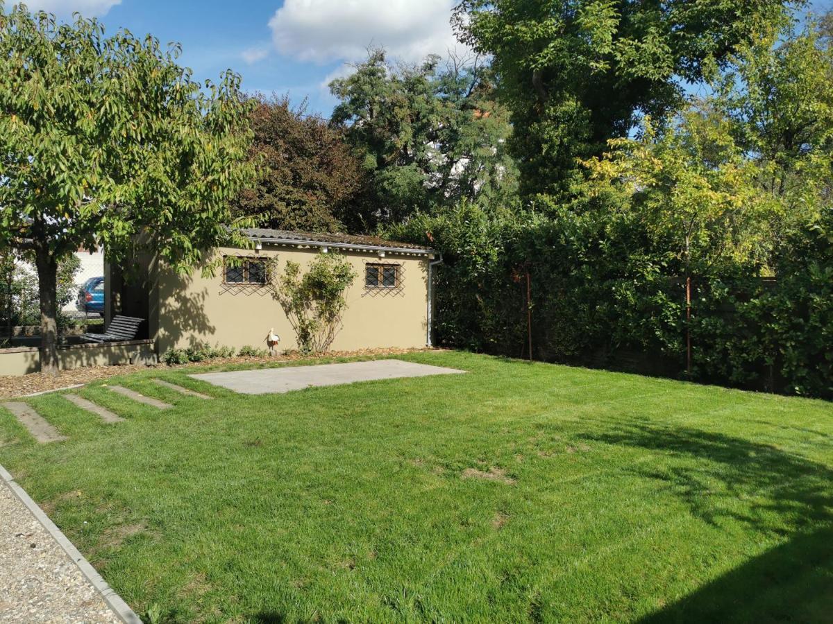 La Maison De Lucie - Grande Maison Ideale En Famille Ou Entre Amis - Jardin - Parking Gratuit Sélestat Zewnętrze zdjęcie