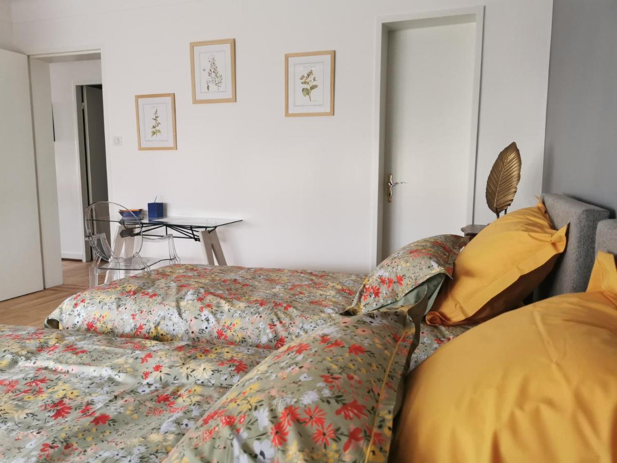 La Maison De Lucie - Grande Maison Ideale En Famille Ou Entre Amis - Jardin - Parking Gratuit Sélestat Zewnętrze zdjęcie