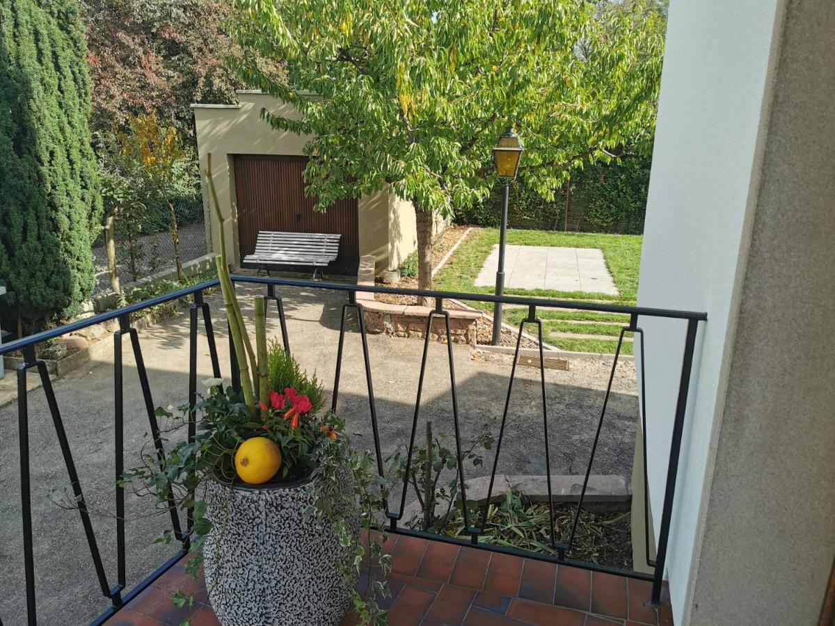 La Maison De Lucie - Grande Maison Ideale En Famille Ou Entre Amis - Jardin - Parking Gratuit Sélestat Zewnętrze zdjęcie